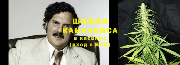 меф Арсеньев