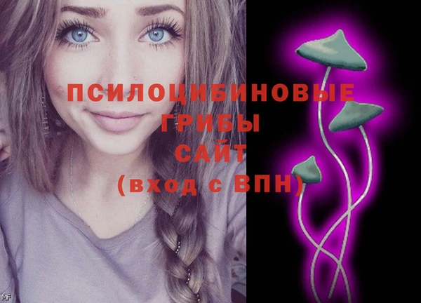 трава Аркадак