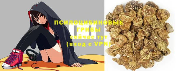трава Аркадак