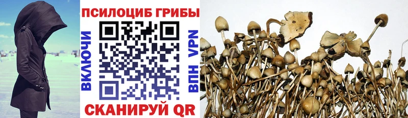 Псилоцибиновые грибы Magic Shrooms  Купить закладки  Очёр 